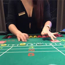 256bet 256bet