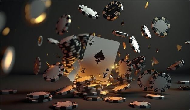 256bet 256bet