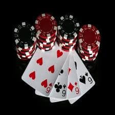 256bet 256bet